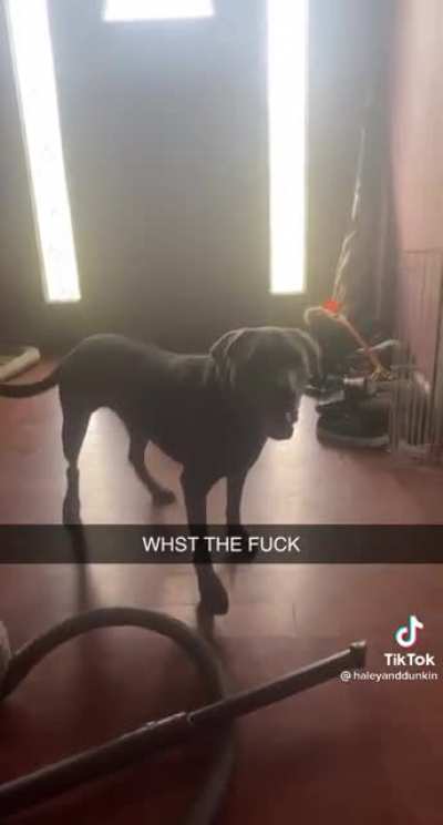Whawhawhat?