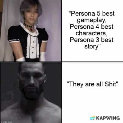 The only correct Persona Opinion
