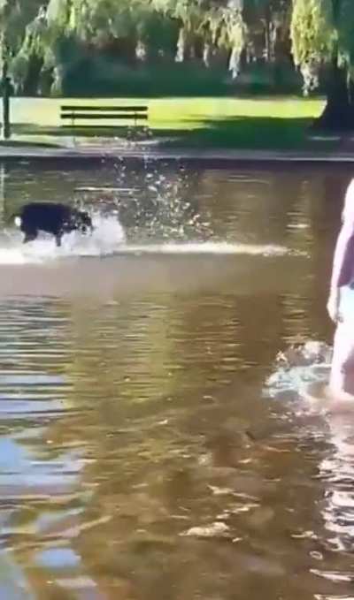 At first i thought he lost the bet