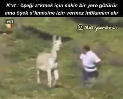 Bu ne amk sldöd<wbr>ldöcö<wbr>öeödl<wbr>fşeçd<wbr>şd