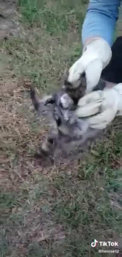 RAAAAAAA