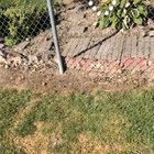 River lives on a golf course and has a special window for pets!