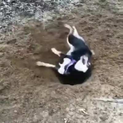 Digging is hard