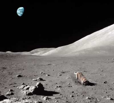 To the moon
