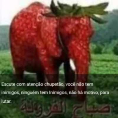 Tocante 😥