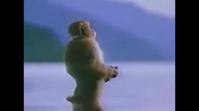 When you enter in 100 Rads Bar and hear this piece of art