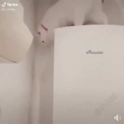 Smooooth cat