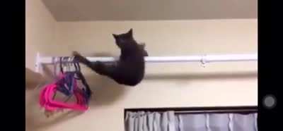 Total catastrophe