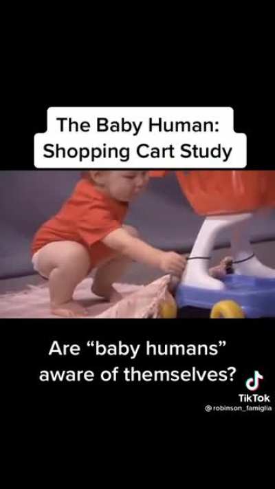 Self aware