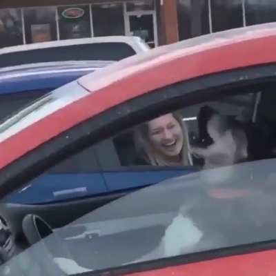 Can’t get mad at the dog