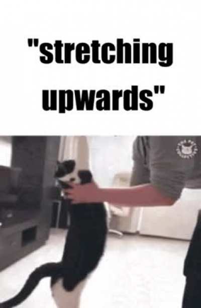 🔥💀🔥