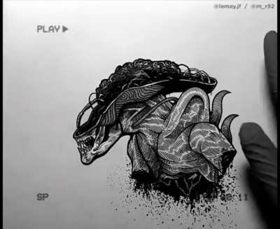This video of a xenomorph