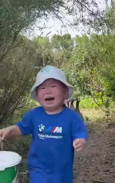 Kid got chased by 10 hungry ducks