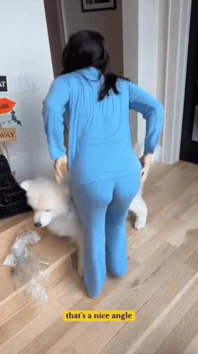 Ariel Winter