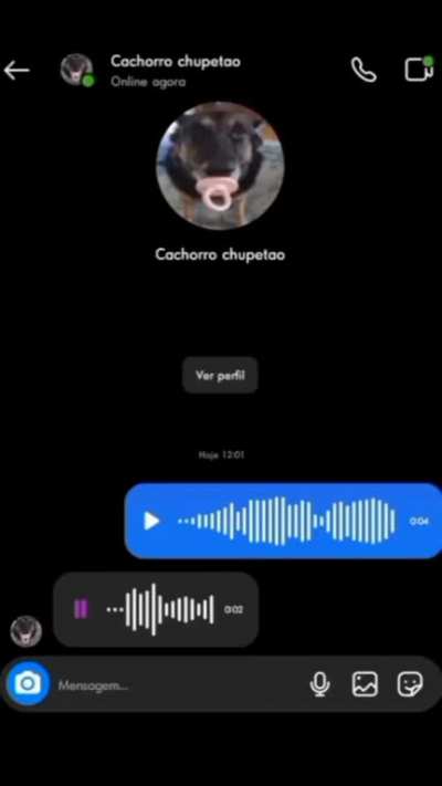 Cachorro chupetao