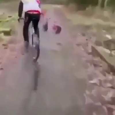 Fuck you, that’s why