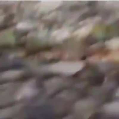 Факинг Нэйшнэл Джиог<wbr>рафик<wbr>! Прямо около дома.