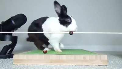 SicK FuCk FeEds rABbiT fASt ACtiNg PoISiN