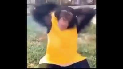 wham wham mokey