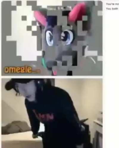 A Furry!