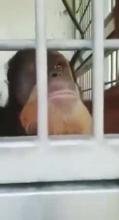 Dont look at me!