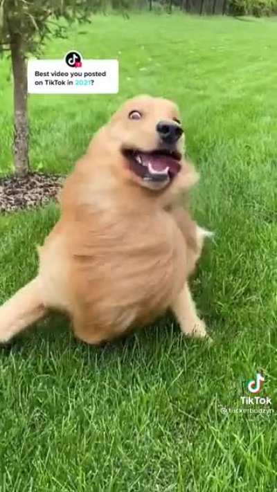 Derp