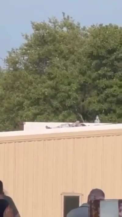 trumps shooter dead after getting shot by trumps security