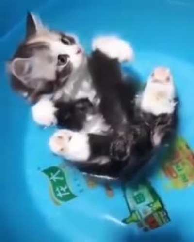 heeeeeeeeeeeelp