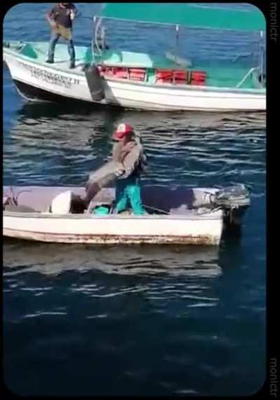 У каждого своё домашнее животное