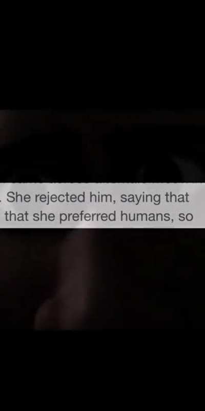 for some reason Reddit doesnt allow me to upload horizontal video because of some video player bug (classic Reddit) so youll have to stick with this mobile resolution until the problem is fixed, this is already the second video I make in horizontal and th