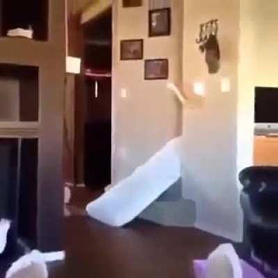 SPLAT
