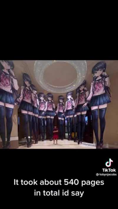 10 20 ft Waifu cringe