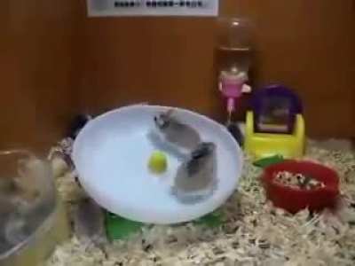 Just one of those videos that always makes me laugh for some reason.
