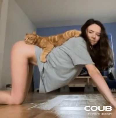 Хочешь быть котиком?