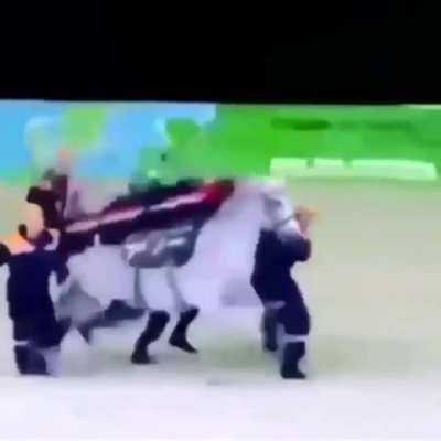 Horsebulance