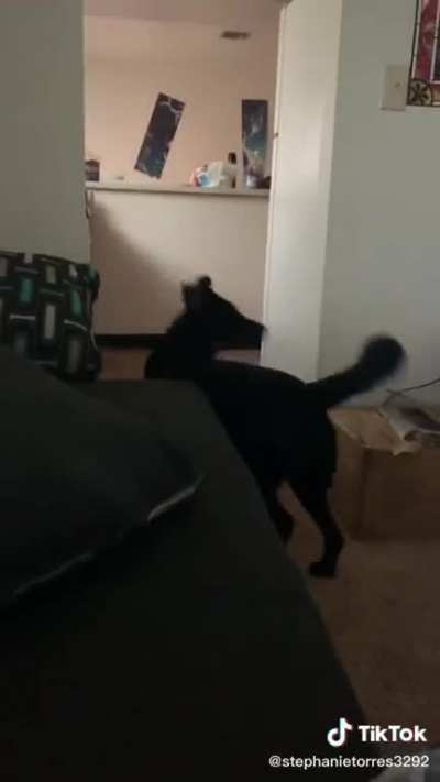 He just vanished