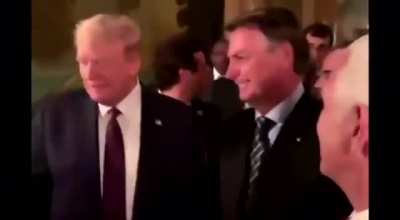 É TRUMP OU NÃO É CHAT? É BOLSONARO OU NAO É CHAT?