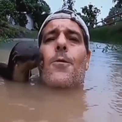 Fofo
