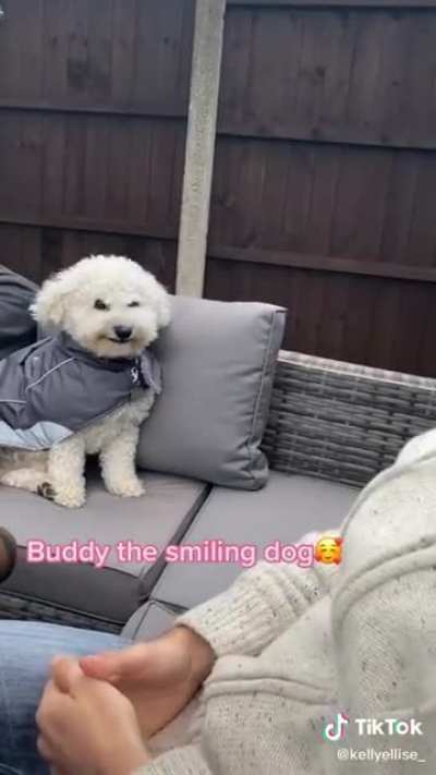 Owner laughing, dog smiling...