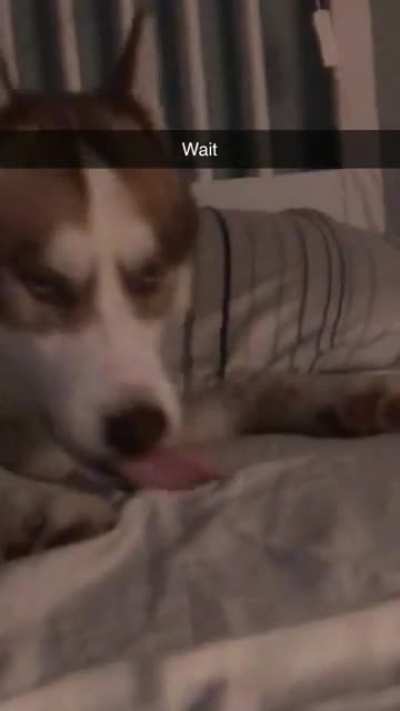 A-