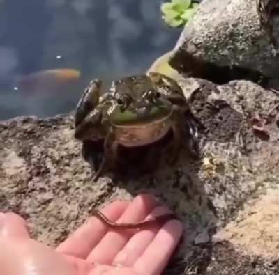 Maybe maybe maybe