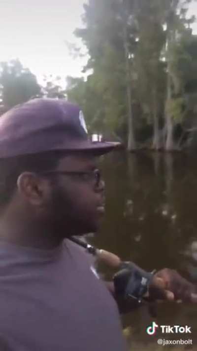 Who took all the damn fish??