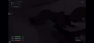 Intruder