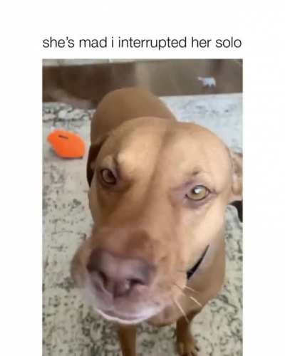 Heck you Karen