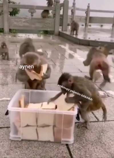 AKP mitinginde bedava döner yemek istemişimdir