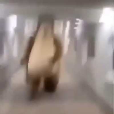 sex bear😳😳😳