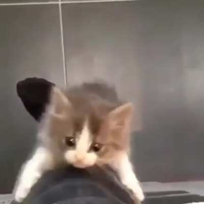 <3