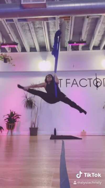 Graceful Fall