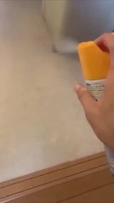 Enjoy this low effort video I made at early hours of the morning