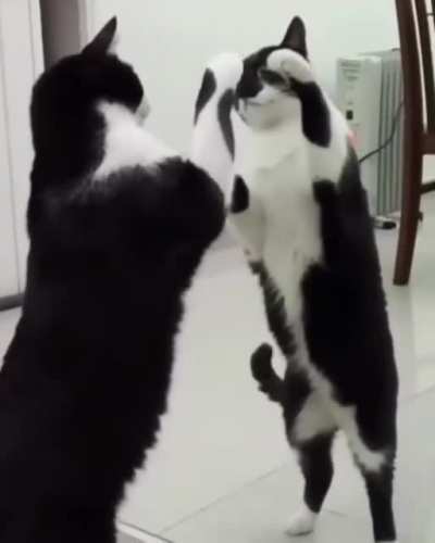 Mirror?